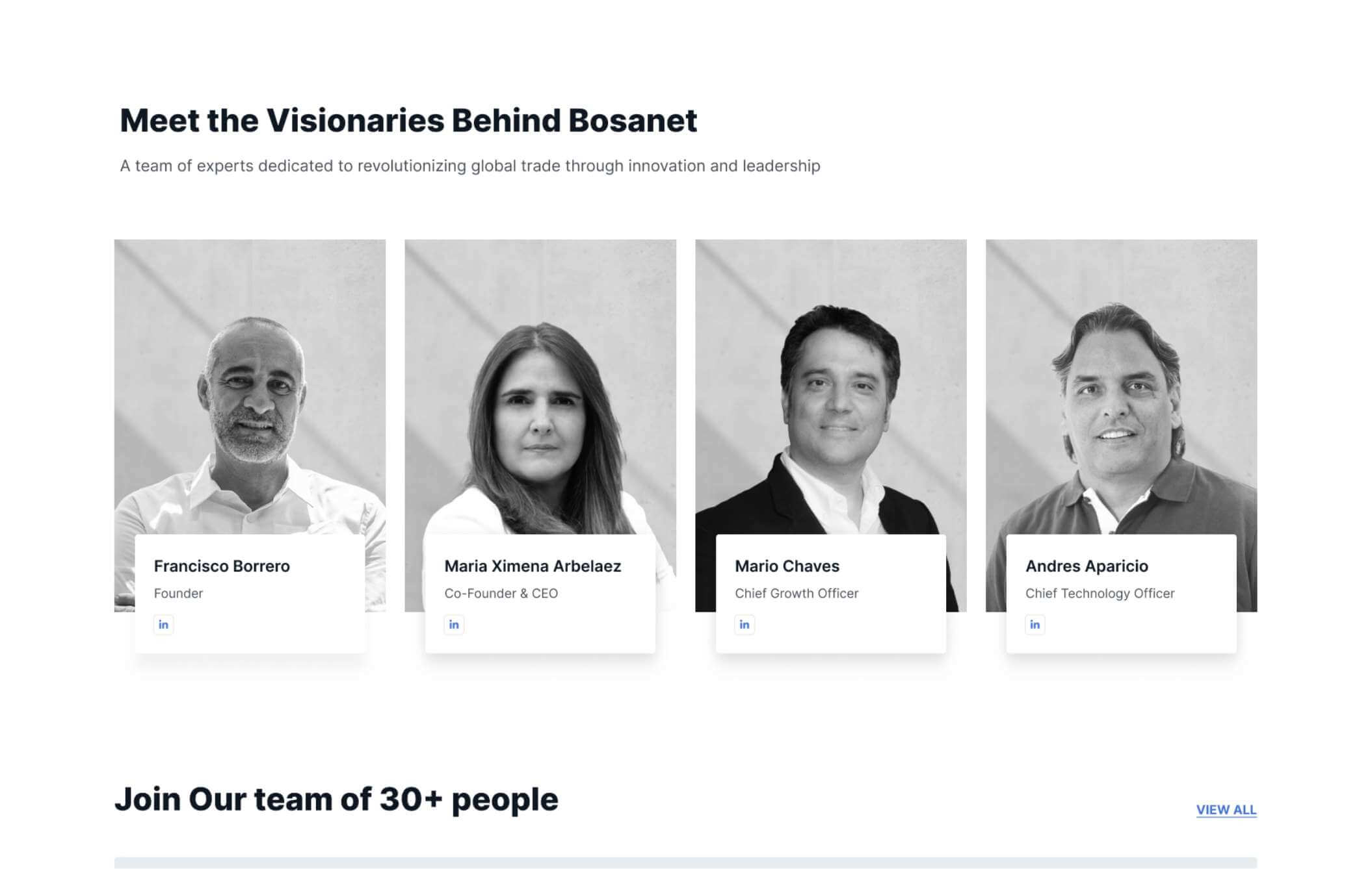 Meet the visionaries behind Bosanet